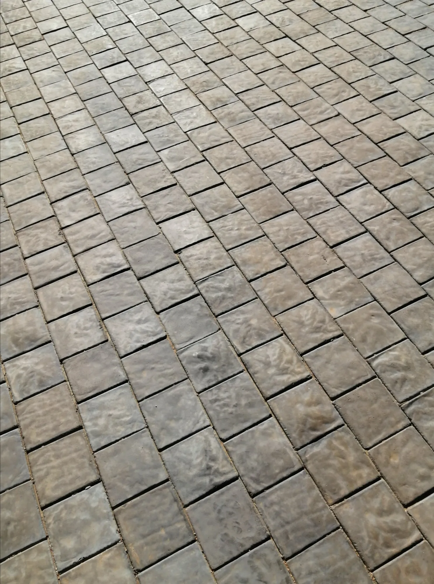 Courtyard Detail — Cape Cobble
